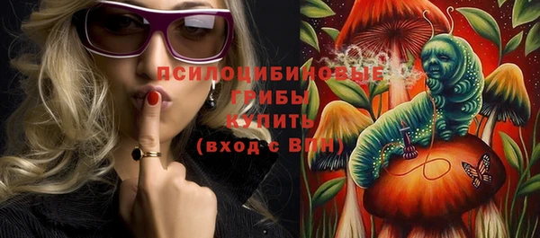 бошки Гусев