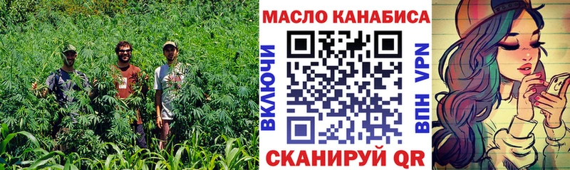 Дистиллят ТГК гашишное масло  купить наркоту  hydra зеркало  Волгодонск 