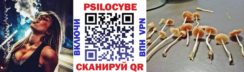 цена наркотик Волгодонск Псилоцибиновые грибы мицелий
