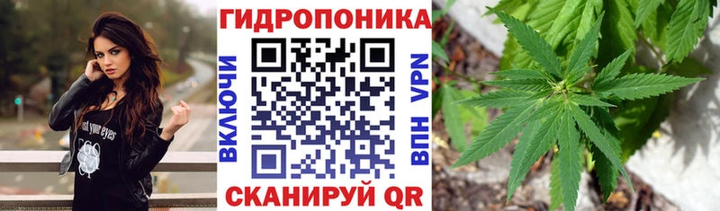 ссылка на мегу tor  Волгодонск  МАРИХУАНА AK-47  цена  